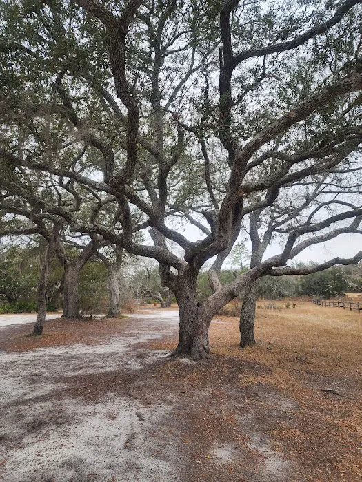 Sparkleberry Pond Picture 4