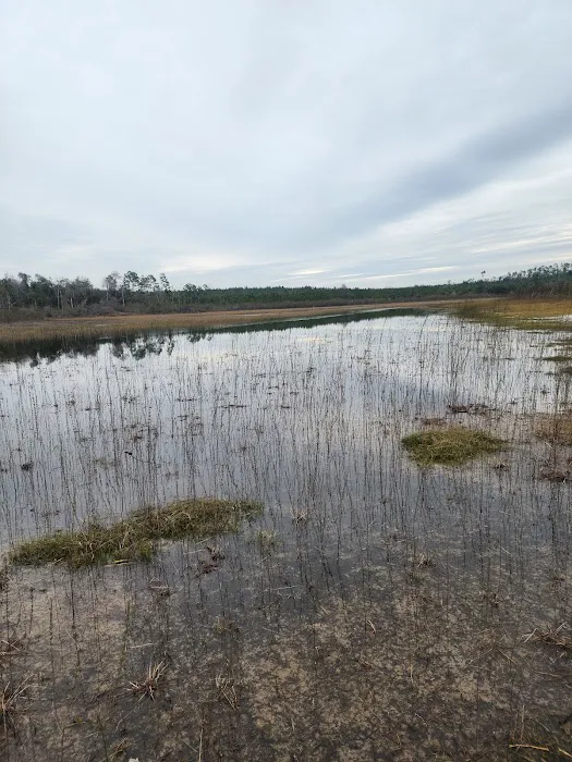 Sparkleberry Pond Picture 2