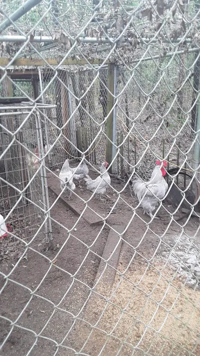 Southern Trails Campground Picture 6