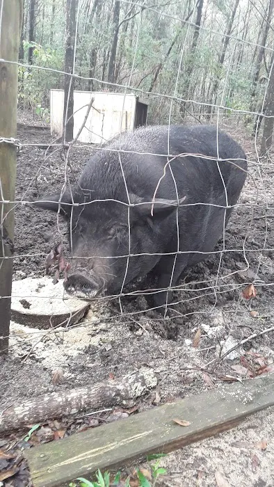 Southern Trails Campground Picture 7