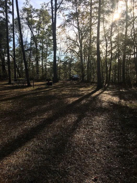 Mack Landing Picture 10