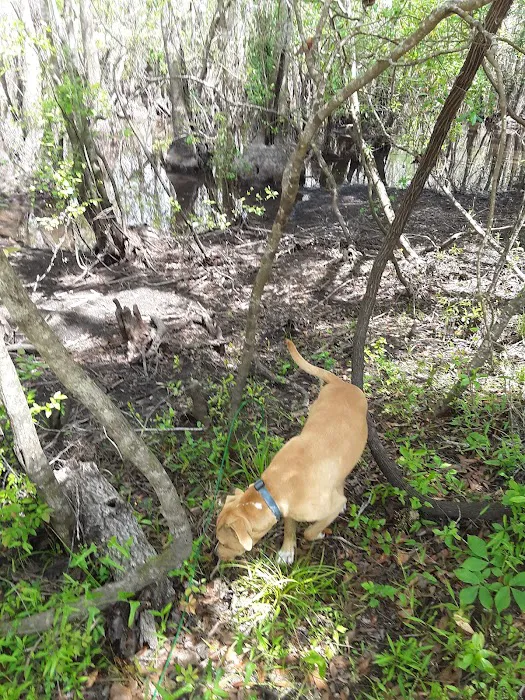 Mack Landing Picture 5