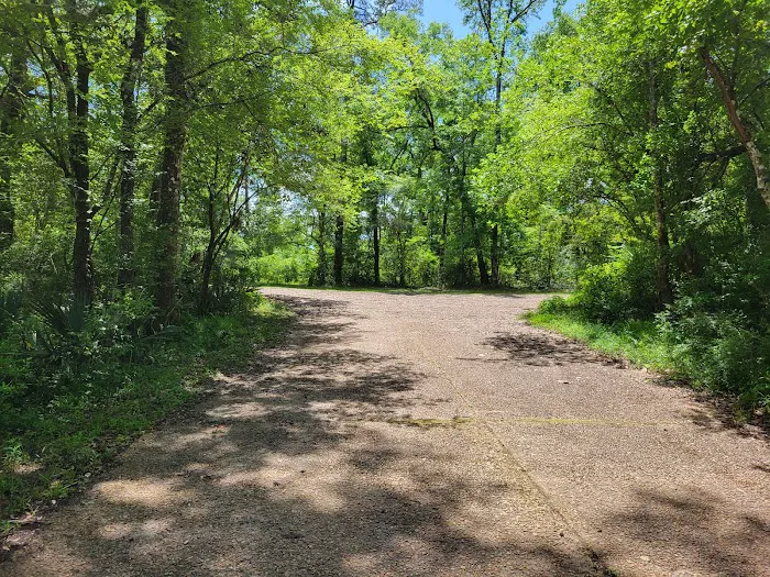 Hitchcock Lake Campground Picture 1