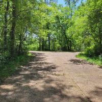 Hitchcock Lake Campground ico