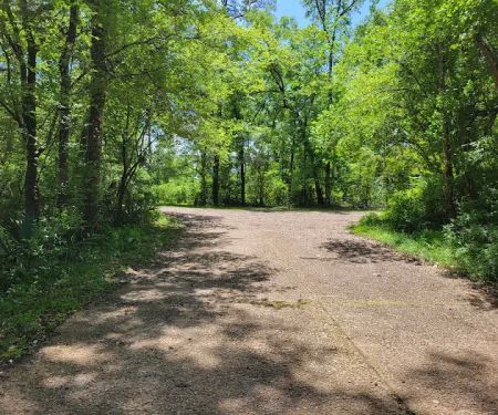 Hitchcock Lake Campground