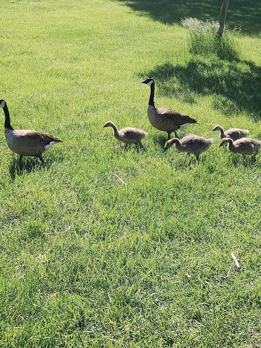 Hitchcock Lake Campground Picture 4