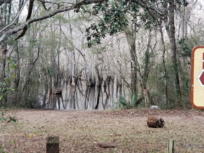 Hitchcock Lake Campground Picture 8