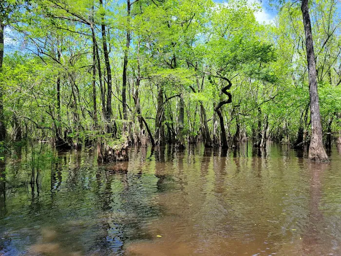 Hitchcock Lake Campground Picture 2