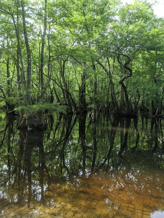 Hitchcock Lake Campground Picture 9