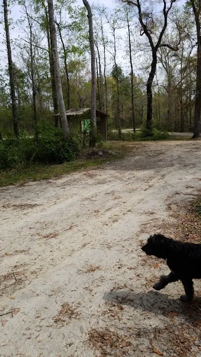 County Line OHV Campground Picture 4