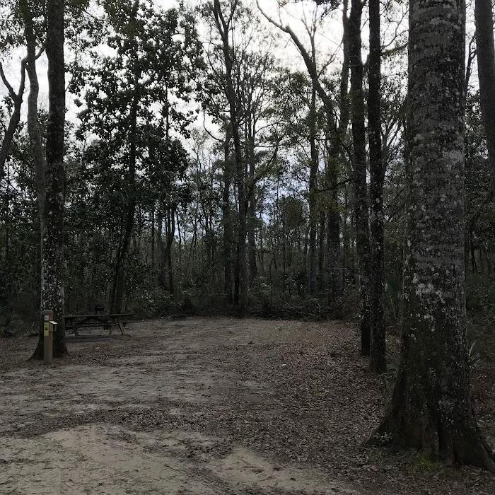 County Line OHV Campground Picture 9