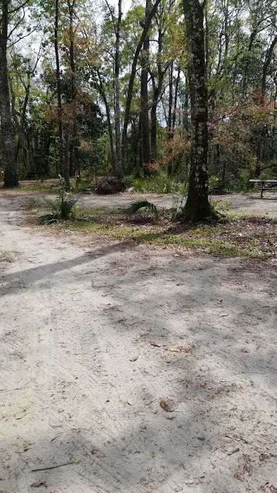 County Line OHV Campground Picture 7