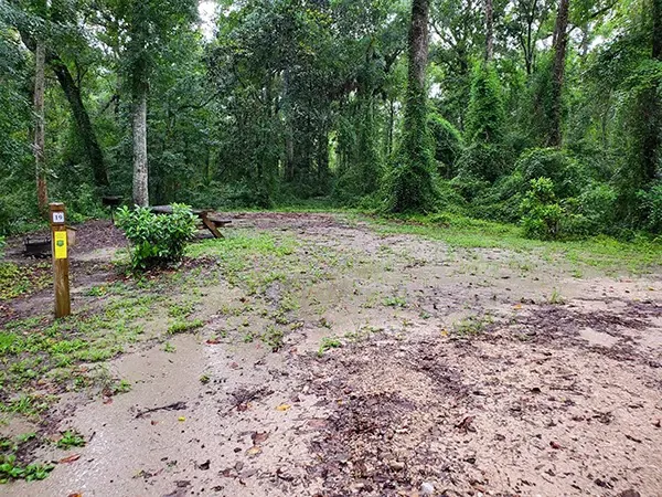 County Line OHV Campground Picture 1