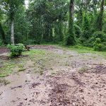 County Line OHV Campground