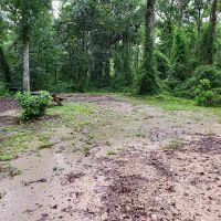 County Line OHV Campground ico