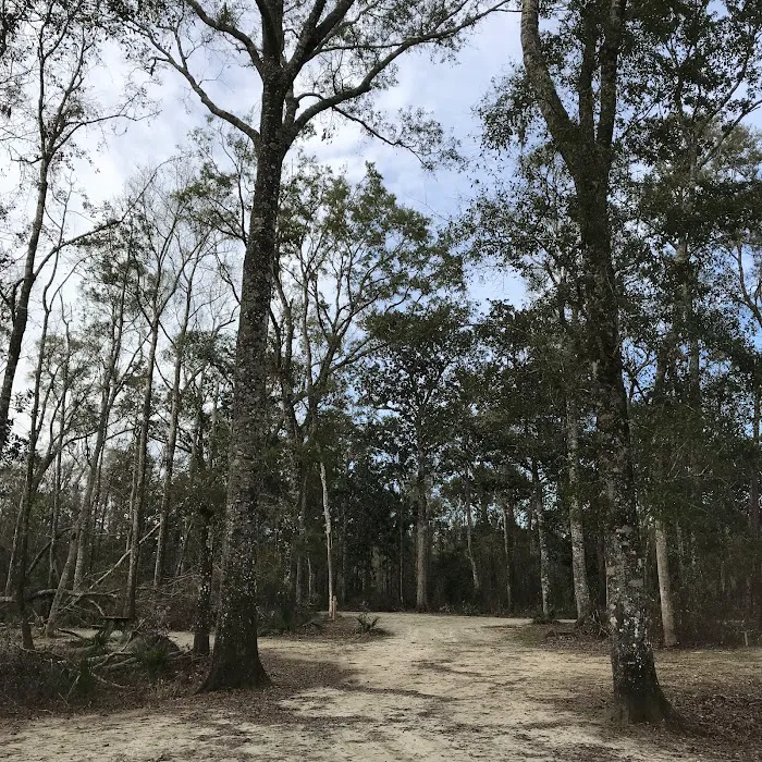 County Line OHV Campground Picture 8