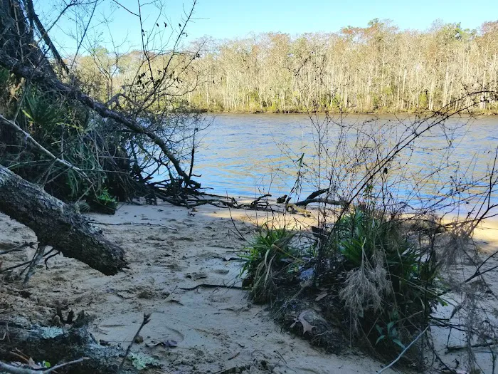 Womack Creek Campground Picture 10