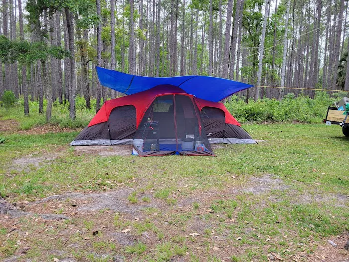 Womack Creek Campground Picture 9