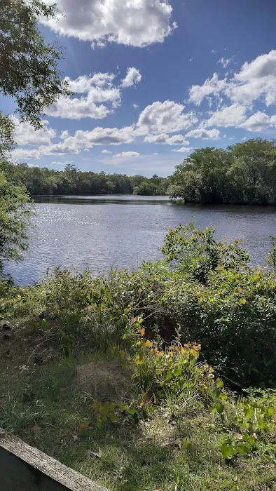 Womack Creek Campground Picture 5