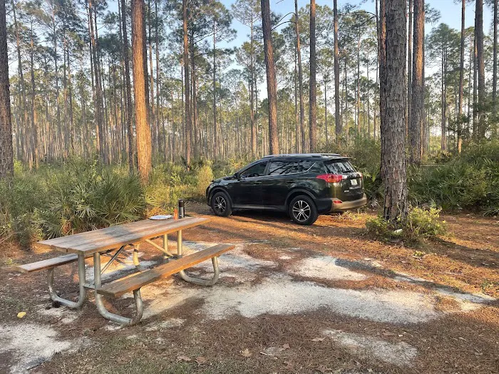 Womack Creek Campground Picture 6