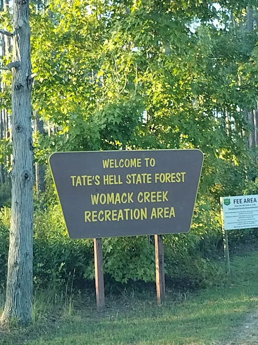 Womack Creek Campground Picture 4