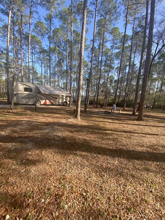 Womack Creek Campground Picture 8