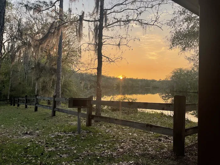 Womack Creek Campground Picture 2