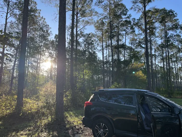 Womack Creek Campground Picture 3