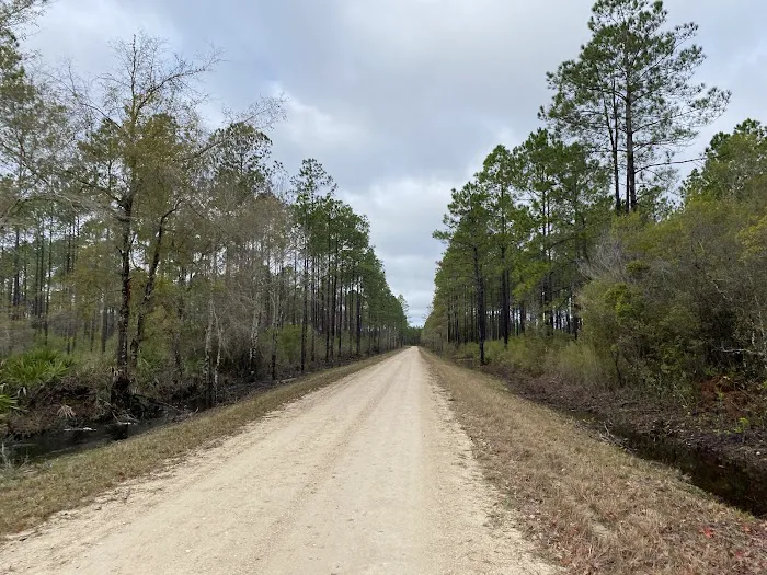 Rock Landing Campground Picture 5