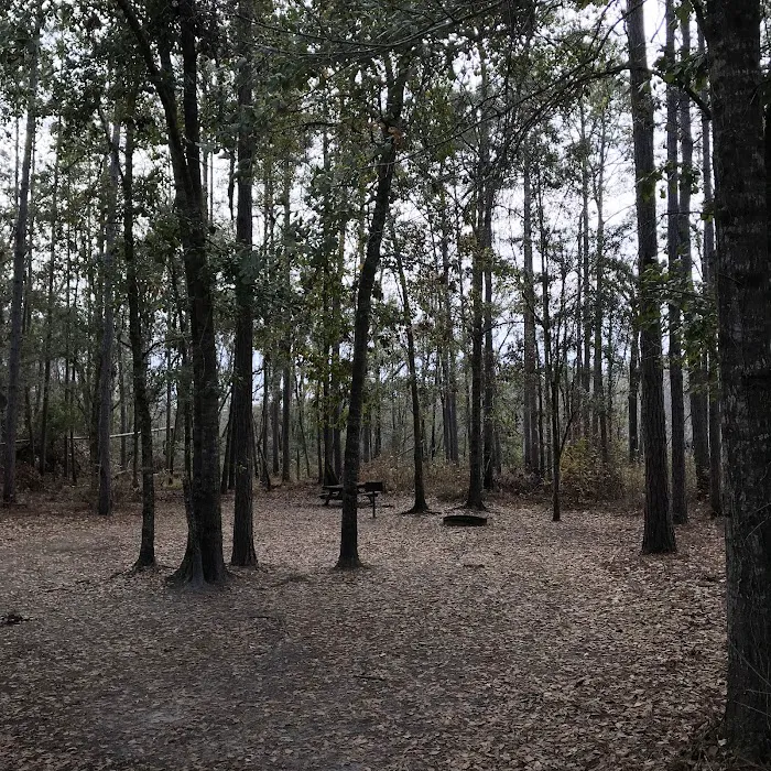 Rock Landing Campground Picture 10