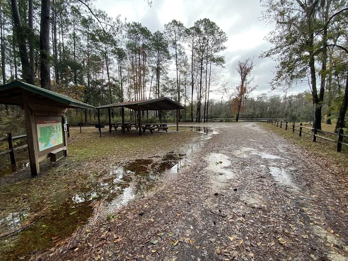 Rock Landing Campground Picture 6