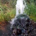 New River Primitive Campsite 8