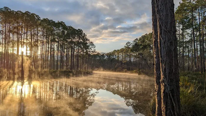 New River Primitive Campsite 8 Picture 4