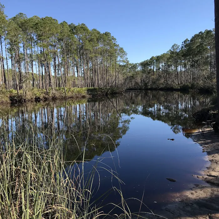 New River Primitive Campsite 8 Picture 10