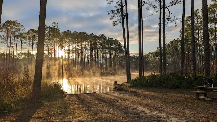 New River Primitive Campsite 8 Picture 5