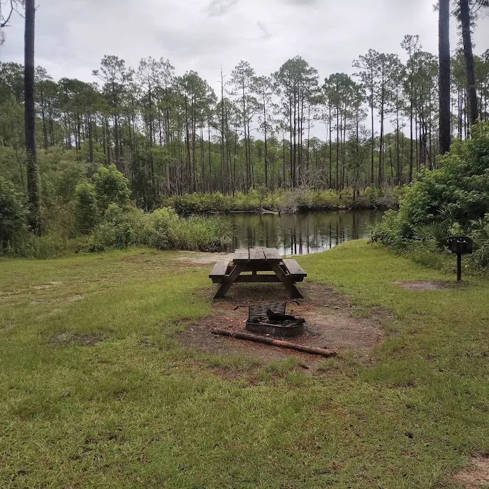 New River Primitive Campsite 8 Picture 7