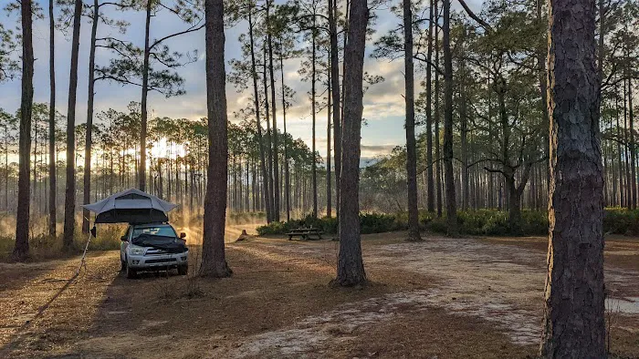 New River Primitive Campsite 8 Picture 8