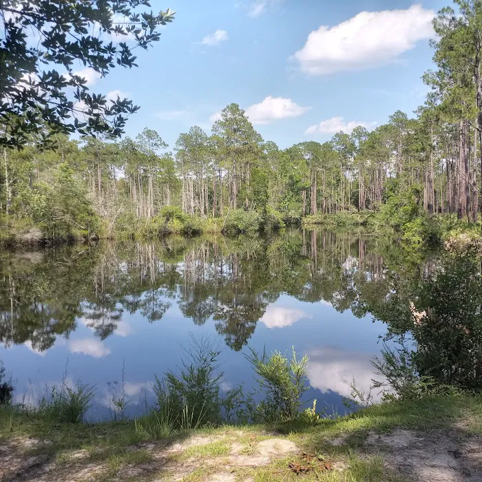 New River Primitive Campsite 8 Picture 6