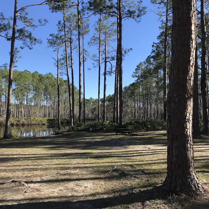 New River Primitive Campsite 8 Picture 9