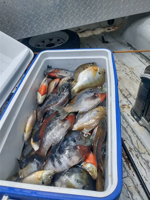 Hickory Landing Picture 7