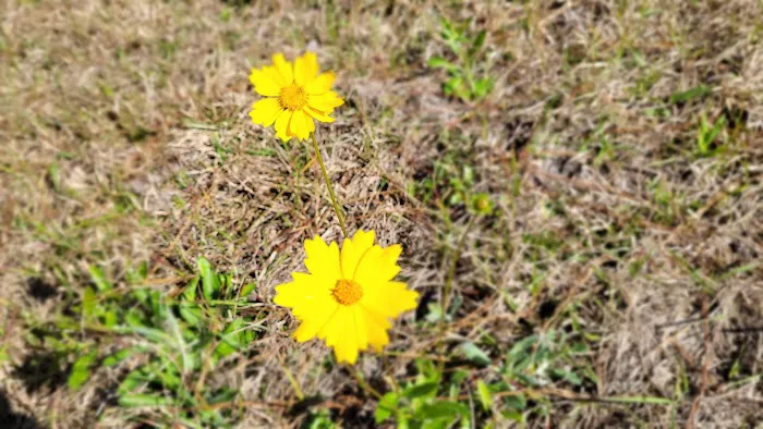 Hickory Landing Picture 1