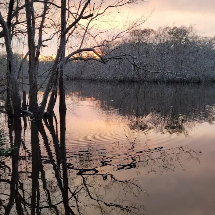 Hickory Landing Picture 6