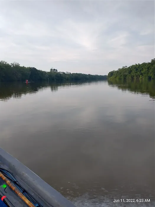 Hickory Landing Picture 3