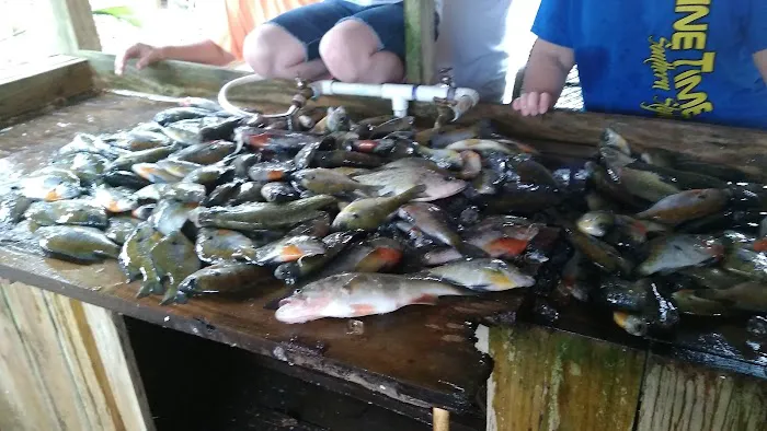 Fisherman's Landing RV Park Picture 8