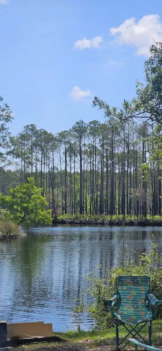 #9 Pope Place Campsite Picture 3