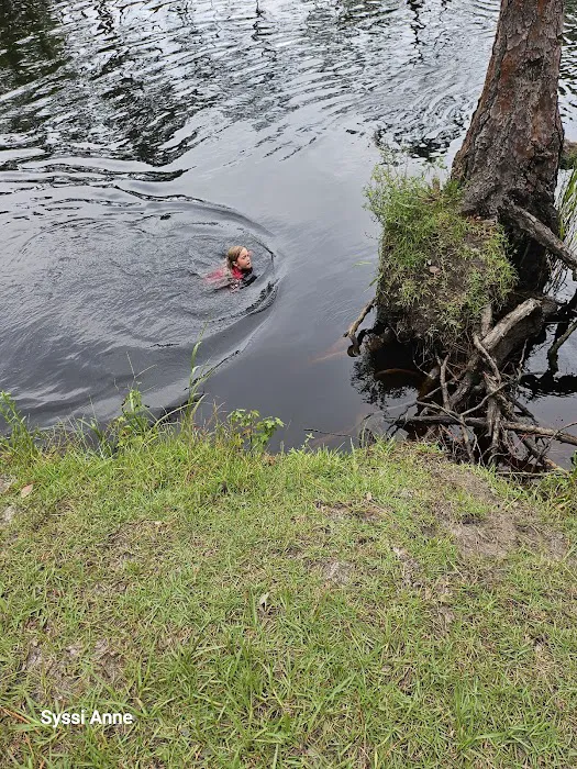 #9 Pope Place Campsite Picture 7