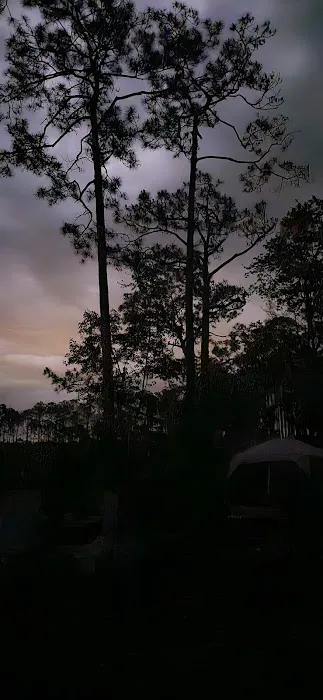 #9 Pope Place Campsite Picture 5