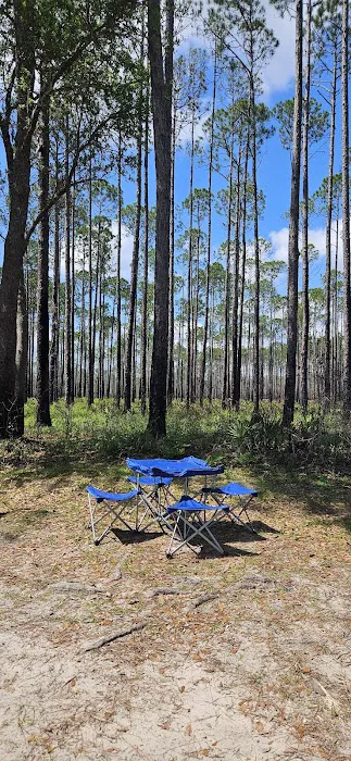 #9 Pope Place Campsite Picture 6