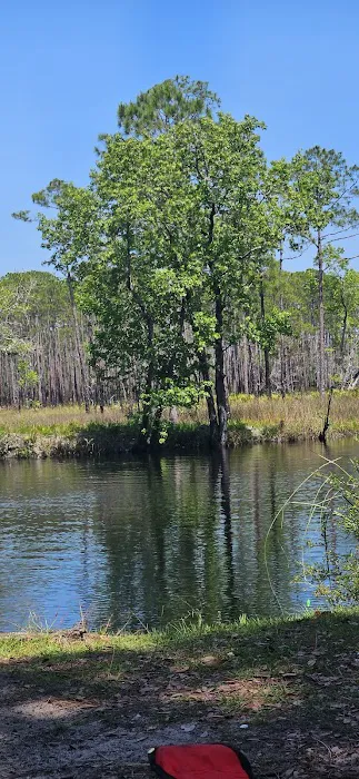 #9 Pope Place Campsite Picture 2