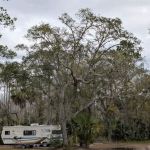Gardner Landing Campground